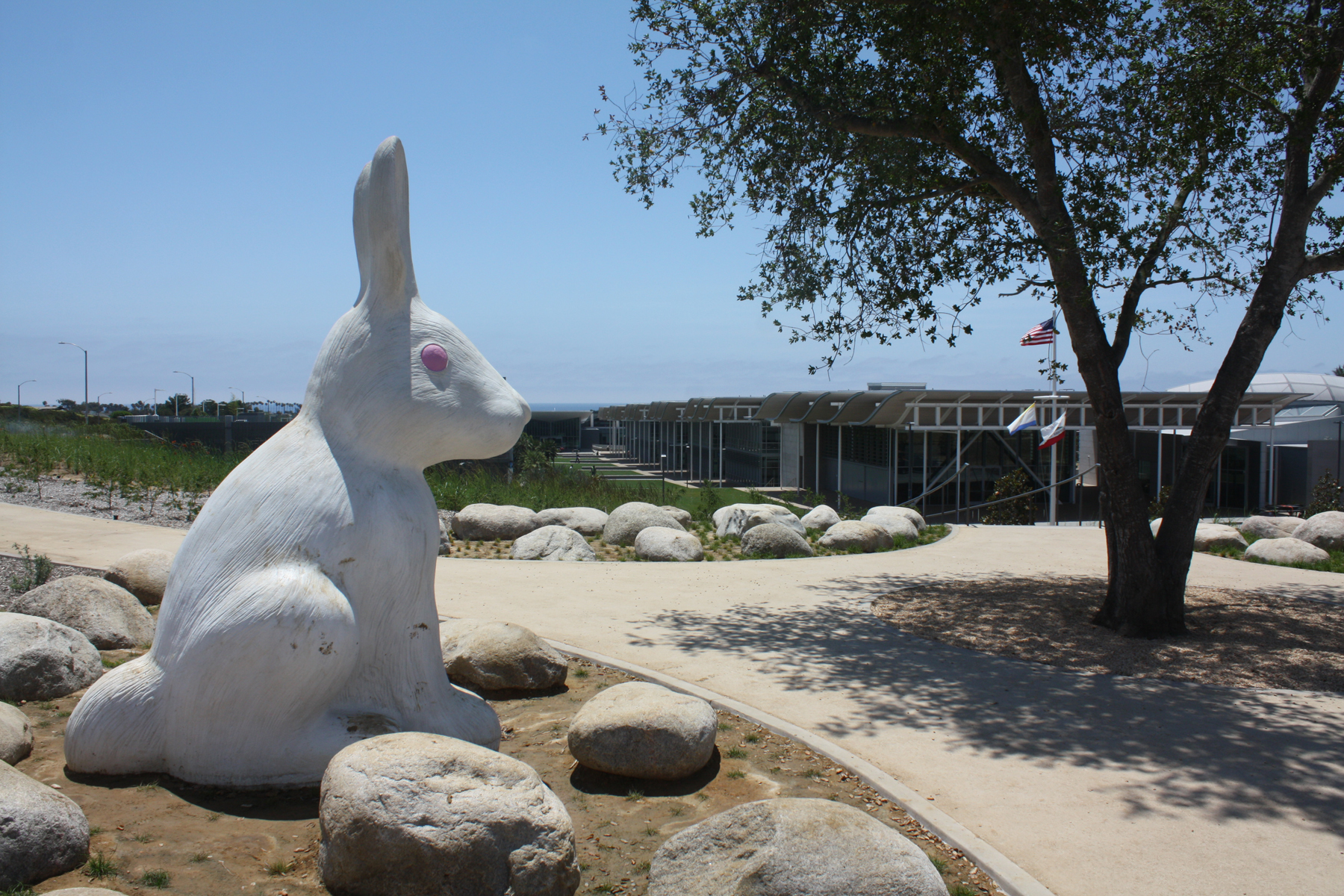 beach bunny newport