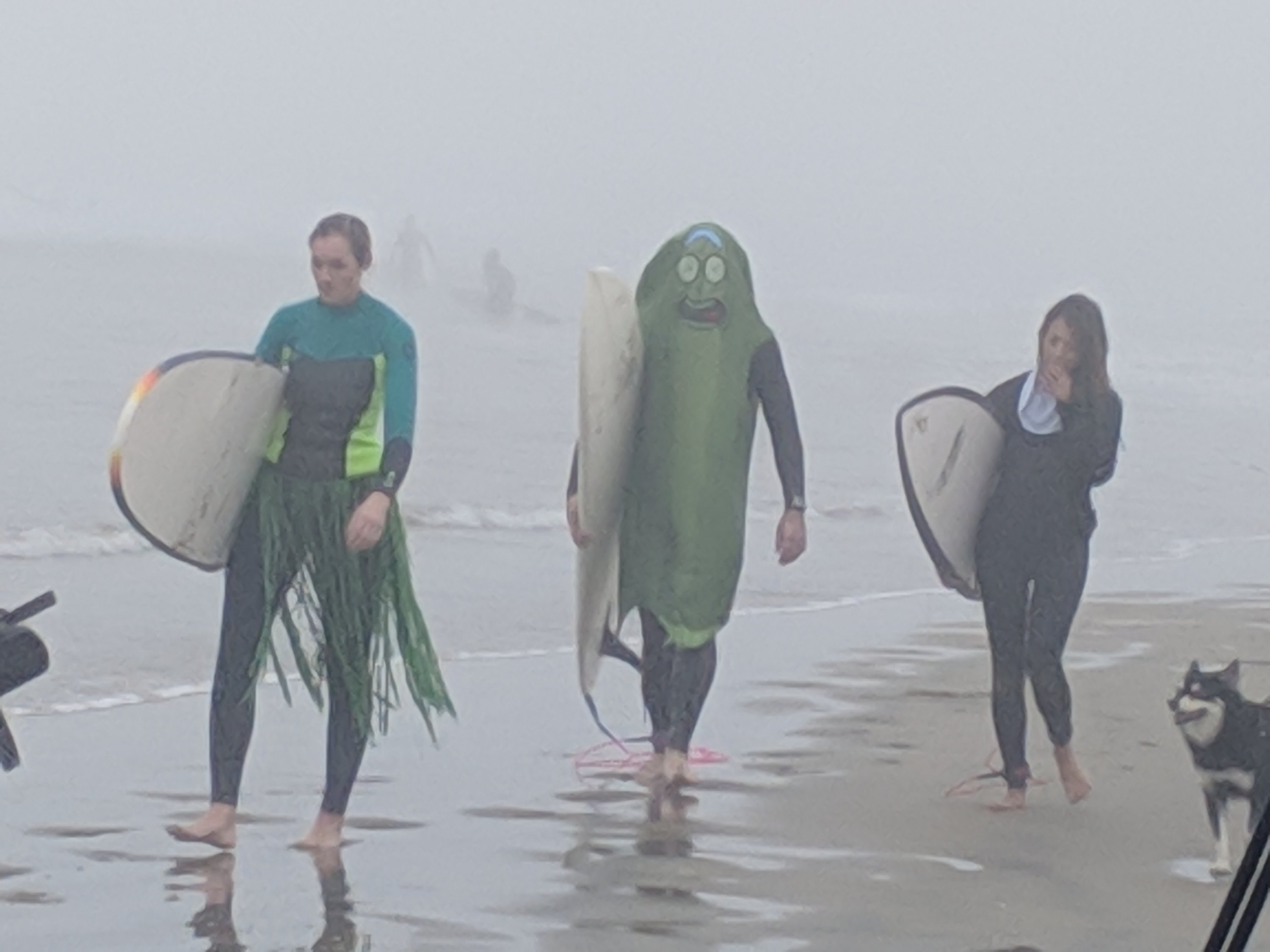 Blackies 12th Annual Surf Competition Photos Save Newport