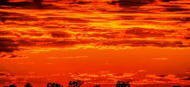 Fiery Sunsets by Sean Olsen
