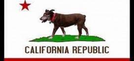California Flag with Dog, credit unknown