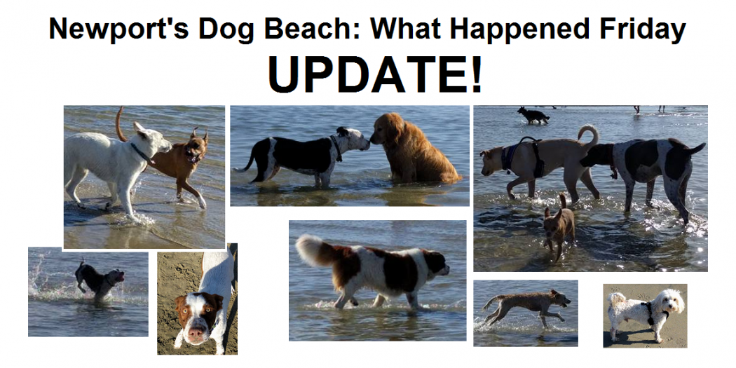 Dog Beach Update! – Save Newport