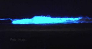 Red Tide Glow by Peter Kragh @ https://www.youtube.com/watch?v=Fvob6L8q3I8