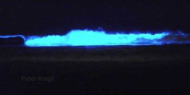Red Tide Glow by Peter Kragh @ https://www.youtube.com/watch?v=Fvob6L8q3I8