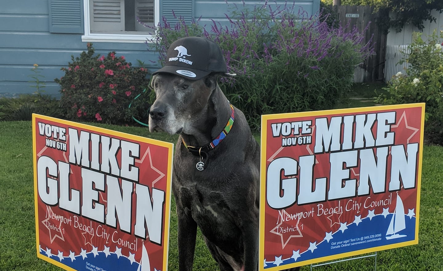 Vote Mike Glenn